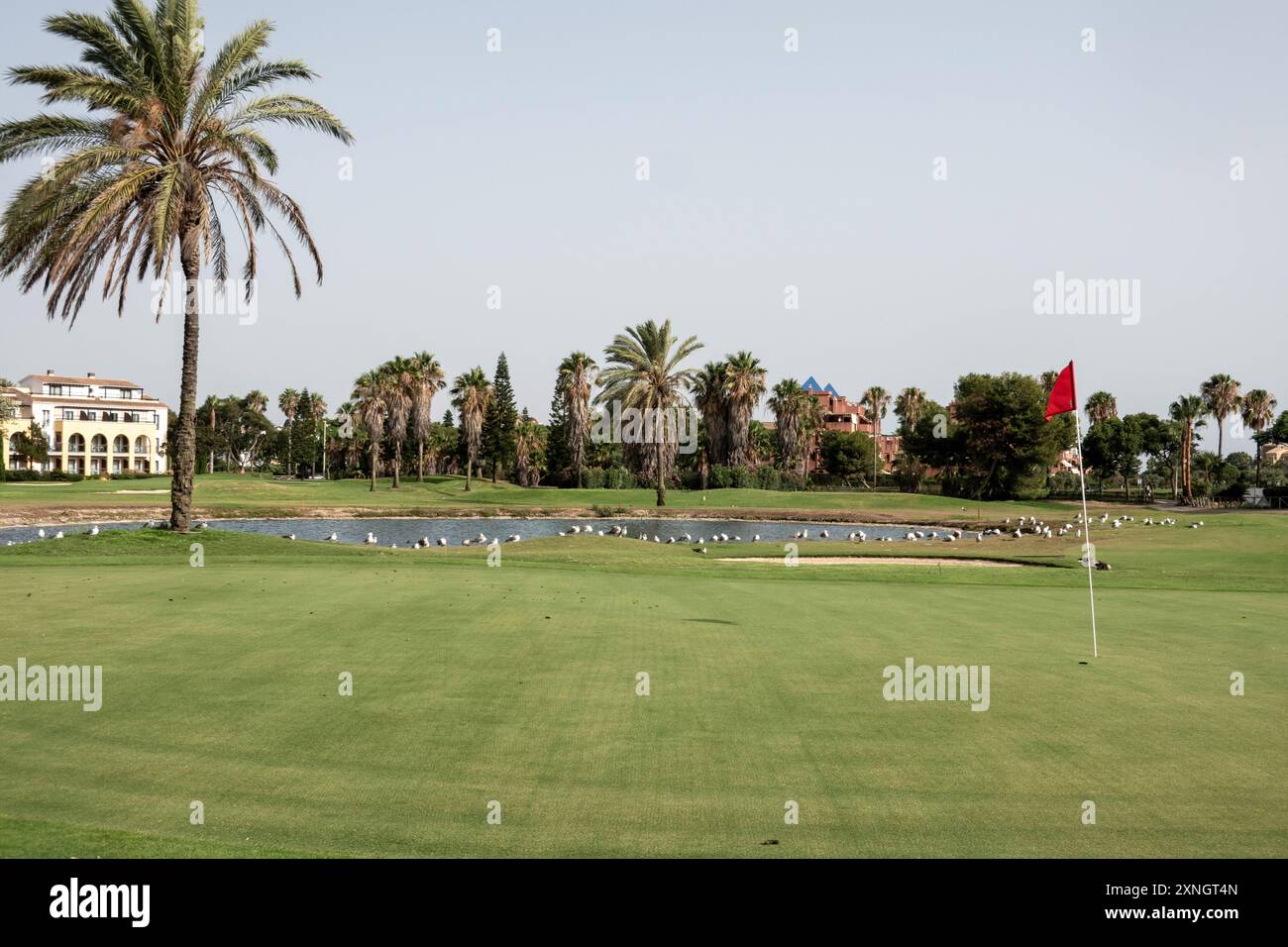 Terrain de golf à Costa Ballena, urbanisation située entre les villes de Rota et Chipiona, province de Cadix, Andalousie, Espagne. Banque D'Images