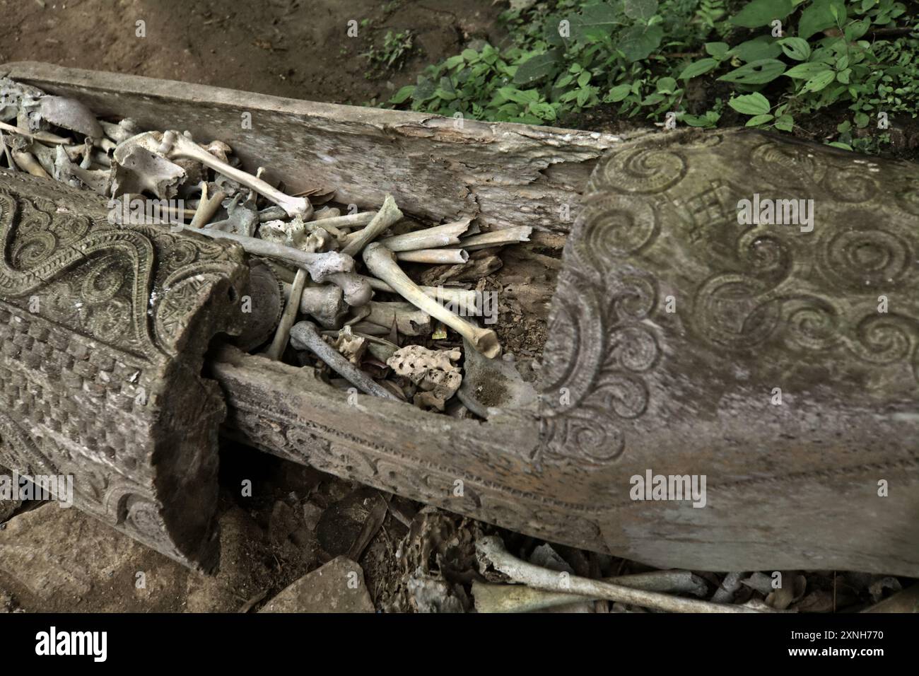 Sarcophage indigène rempli d'os humains sur un site de sépulture traditionnel dans le village de Kete Kesu, Toraja Nord, Sulawesi Sud, Indonésie. Banque D'Images