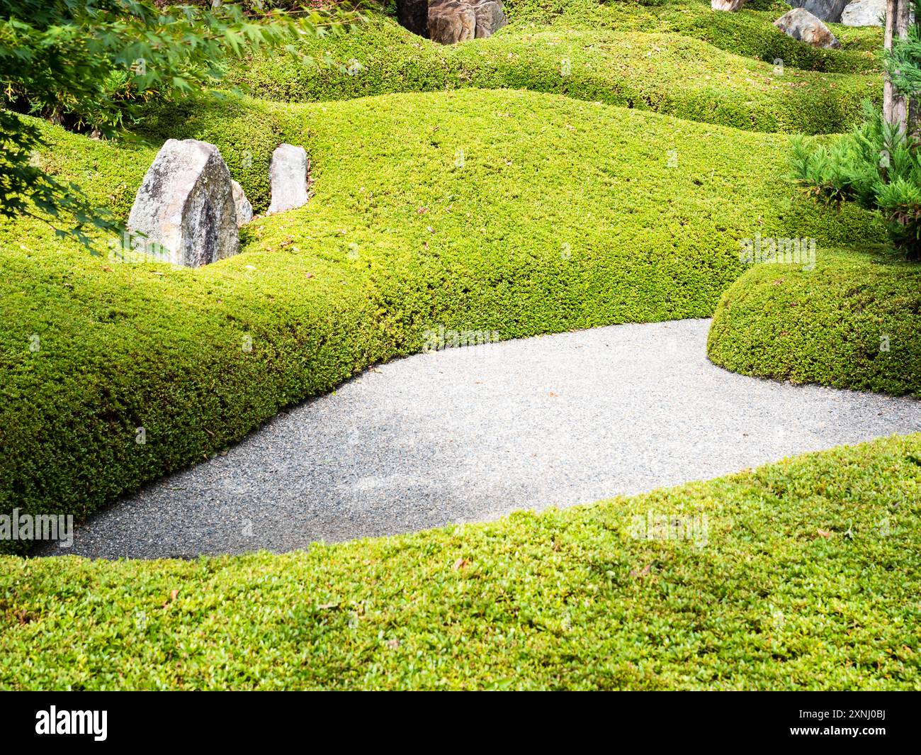 Aménagement paysager du jardin japonais traditionnel Banque D'Images