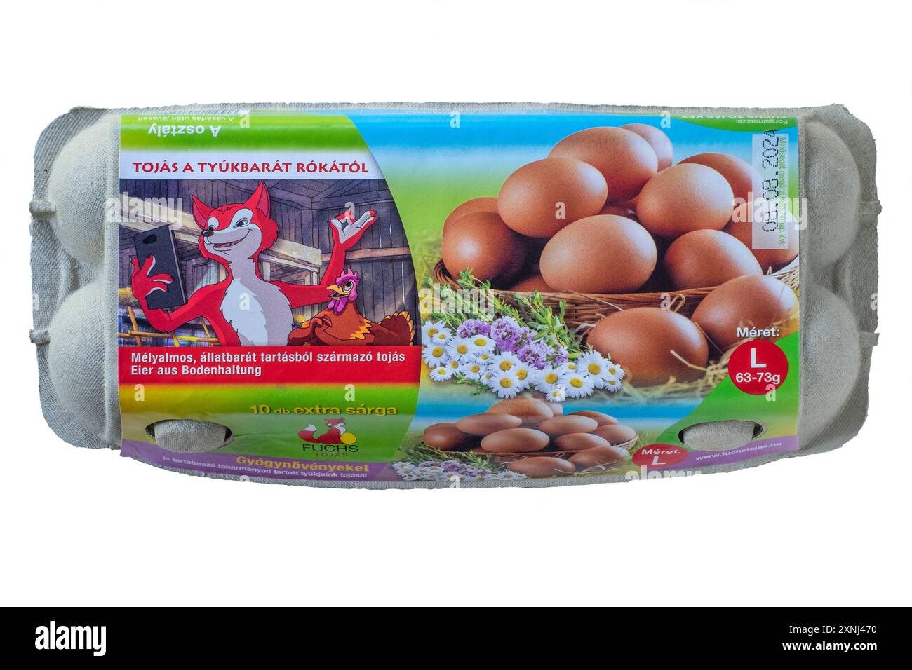 boîte hongroise fermée de dix gros oeufs découpés sur fond blanc Banque D'Images