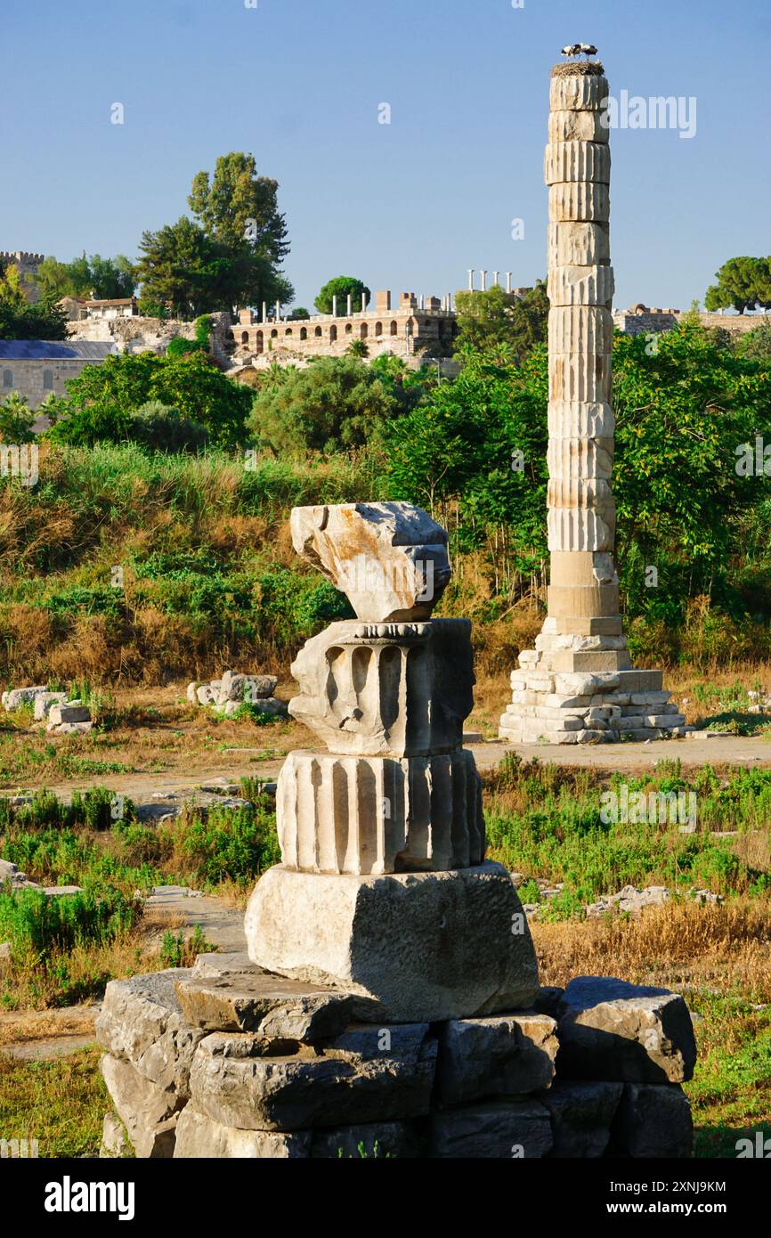 18 juin 2024 Selcuk Izmır Turquie. Temple Arthemis à Ephesus Selcuk Turquie Banque D'Images