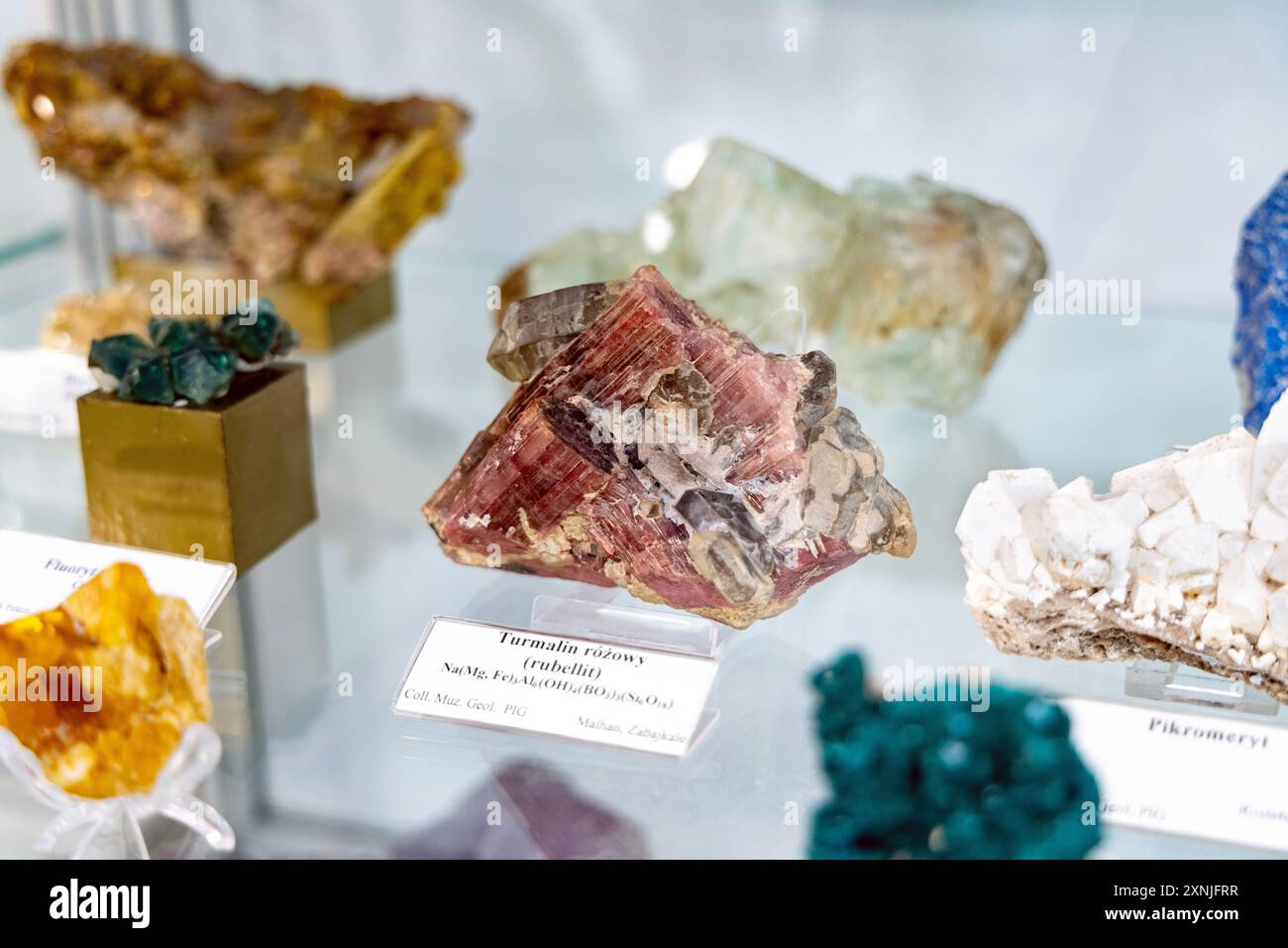 Minéral de rubellite (tourmaline rose) exposé au Musée géologique de Varsovie, Pologne Banque D'Images