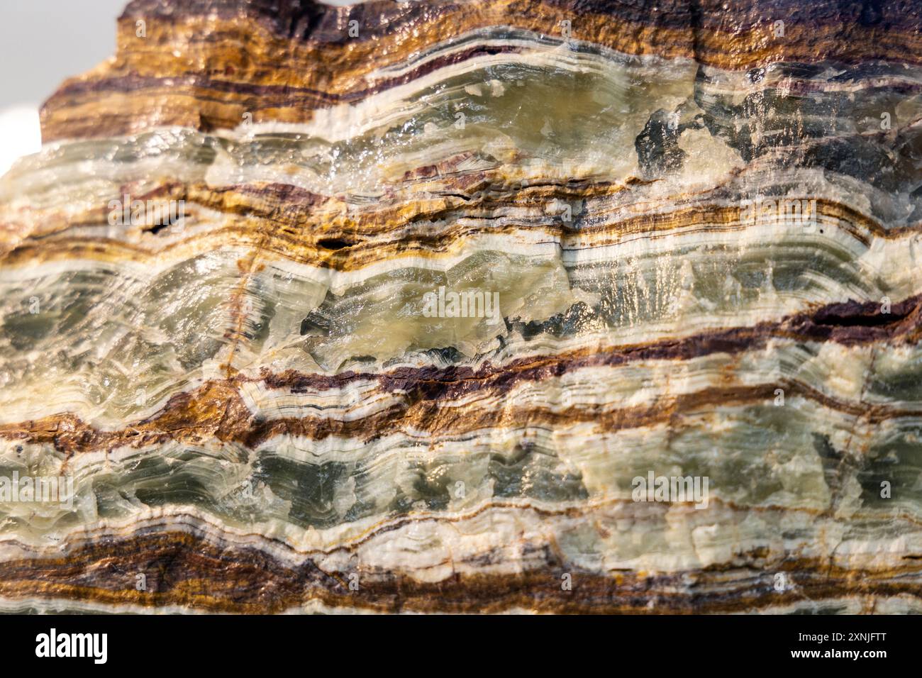 Gros plan d'un minéral d'aragonite, Musée géologique, Varsovie, Pologne Banque D'Images