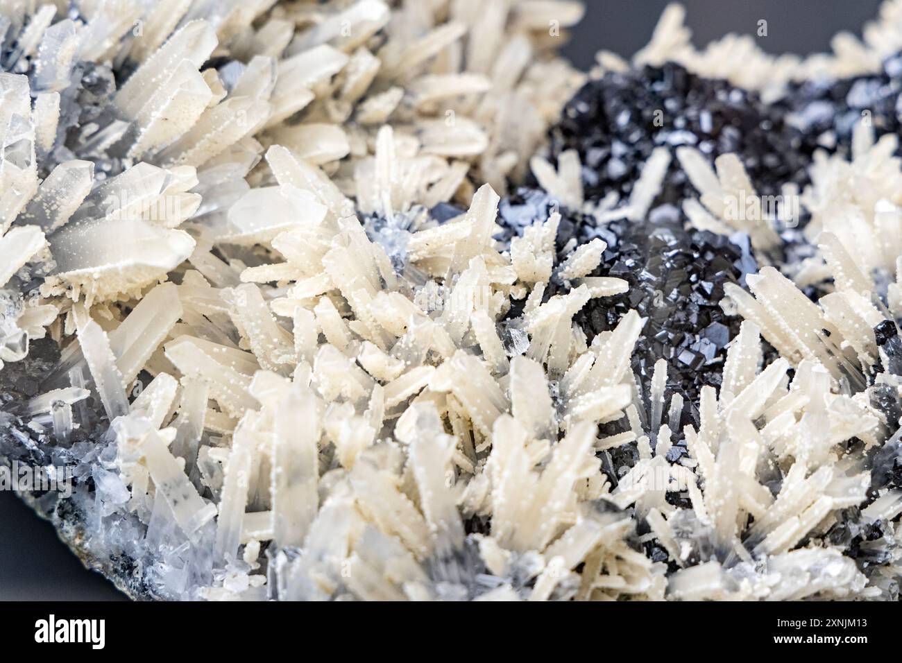 Gros plan de quartz, sphalérite et dolomie, Musée géologique, Varsovie, Pologne Banque D'Images