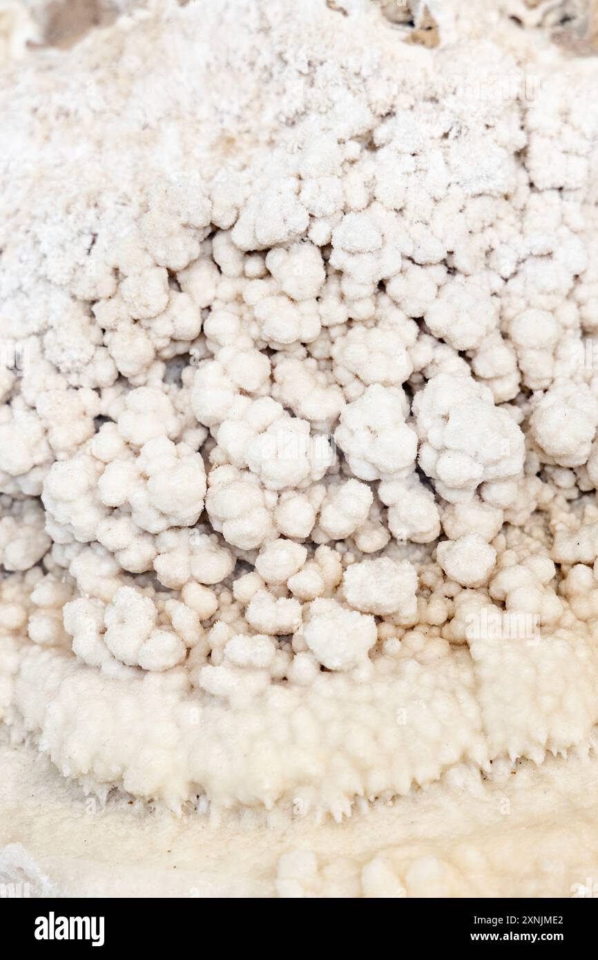 Gros plan d'un spécimen minéral de calcite botryoïdale, Musée géologique, Varsovie, Pologne Banque D'Images