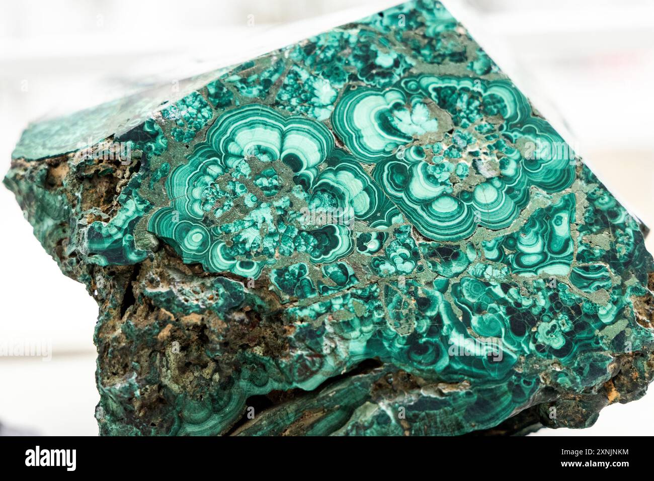 Spécimen minéral de malachite, Musée géologique, Varsovie, Pologne Banque D'Images