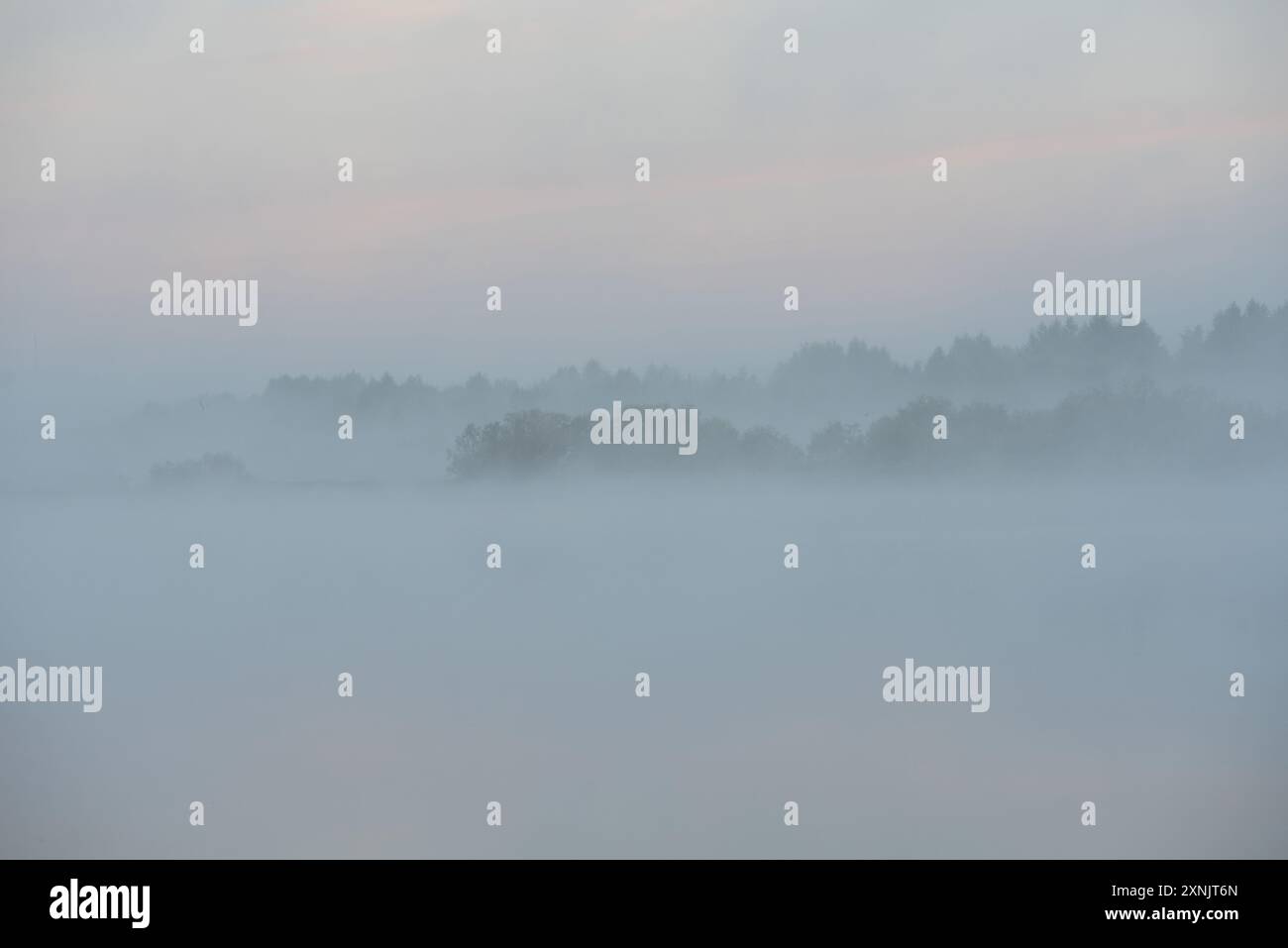 Brouillard matinal dans la vallée de la rivière. Banque D'Images