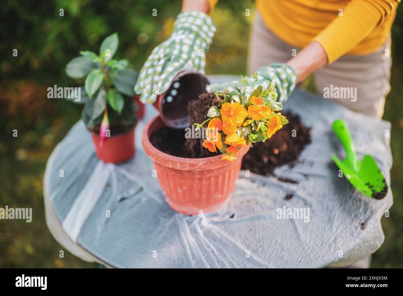Gros plan image de femme senior jardinant dans sa cour. Elle plante des fleurs. Banque D'Images