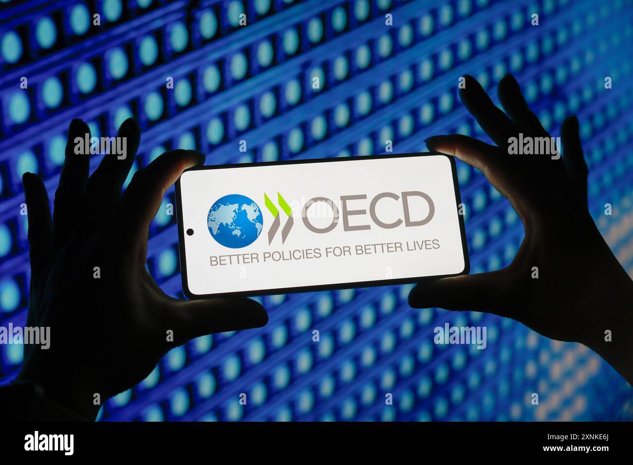 Paraguay. 01 août 2024. Dans cette illustration photo, le logo de l'Organisation de coopération et de développement économiques (OCDE) est affiché sur l'écran d'un smartphone. Crédit : SOPA images Limited/Alamy Live News Banque D'Images