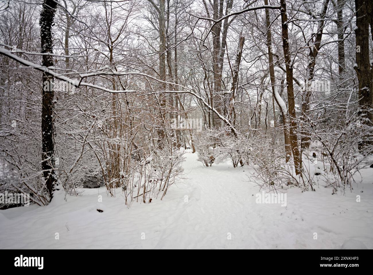 ARLINGTON, Virginie, États-Unis — Une scène hivernale enneigée à Rock Spring Park capture la beauté sereine d'Arlington, en Virginie. Le parc, recouvert de neige, met en valeur le paysage hivernal tranquille et pittoresque, invitant les visiteurs à profiter des activités de plein air et de la beauté naturelle de la saison. Banque D'Images