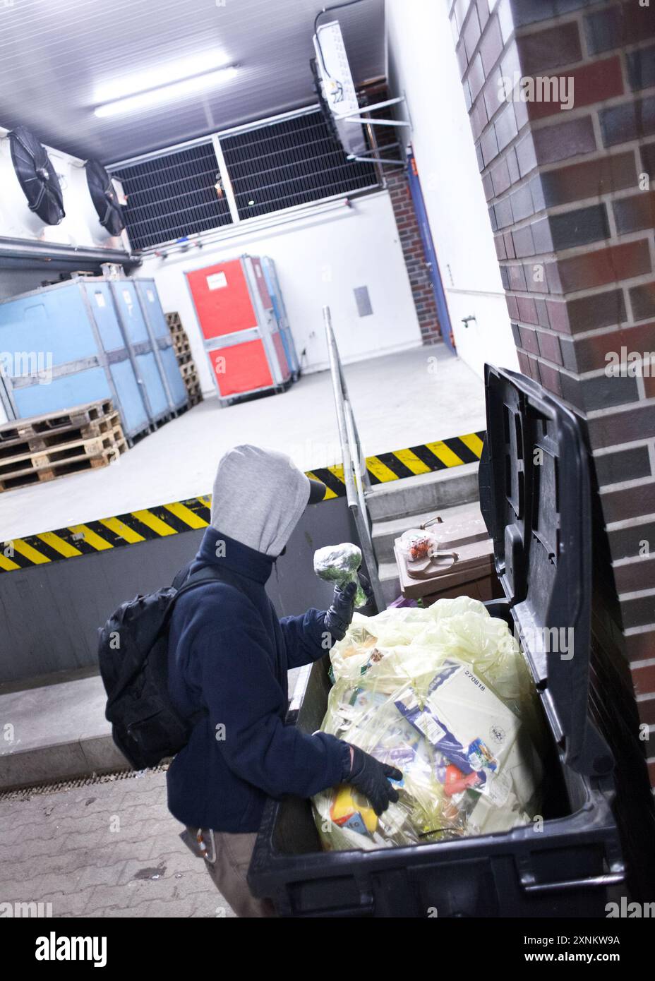 Étudiant plongée dans une benne à ordures pour récupérer des aliments comestibles et des produits utilisables dans des bacs de supermarché à Berlin, en Allemagne. Banque D'Images