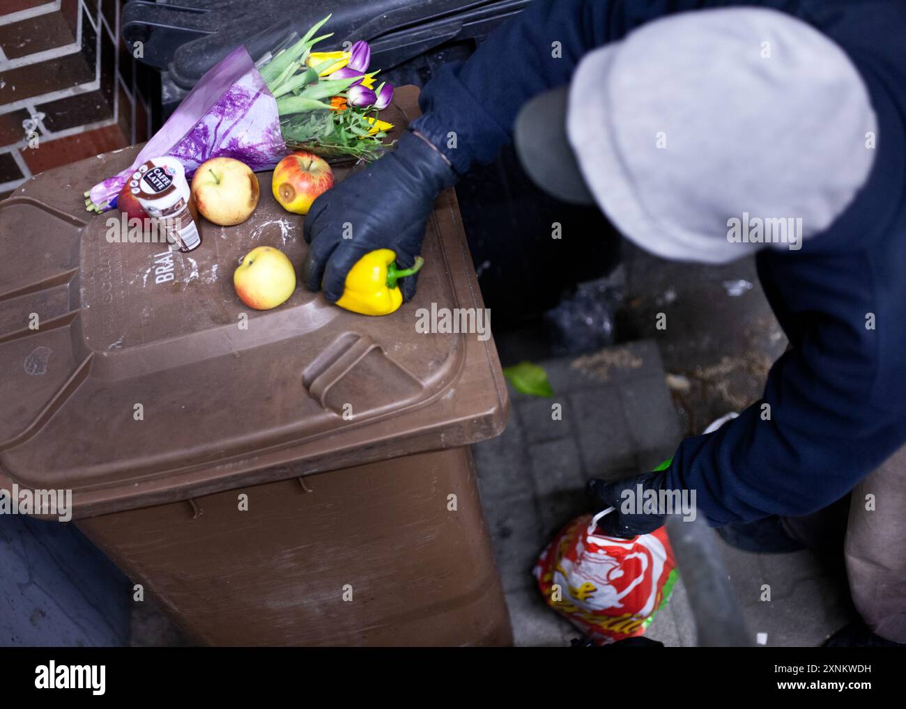 L'étudiant participe à la plongée dans les bennes à ordures, récupérant des aliments et des produits utilisables dans les ordures de supermarché à Berlin, en Allemagne. Banque D'Images