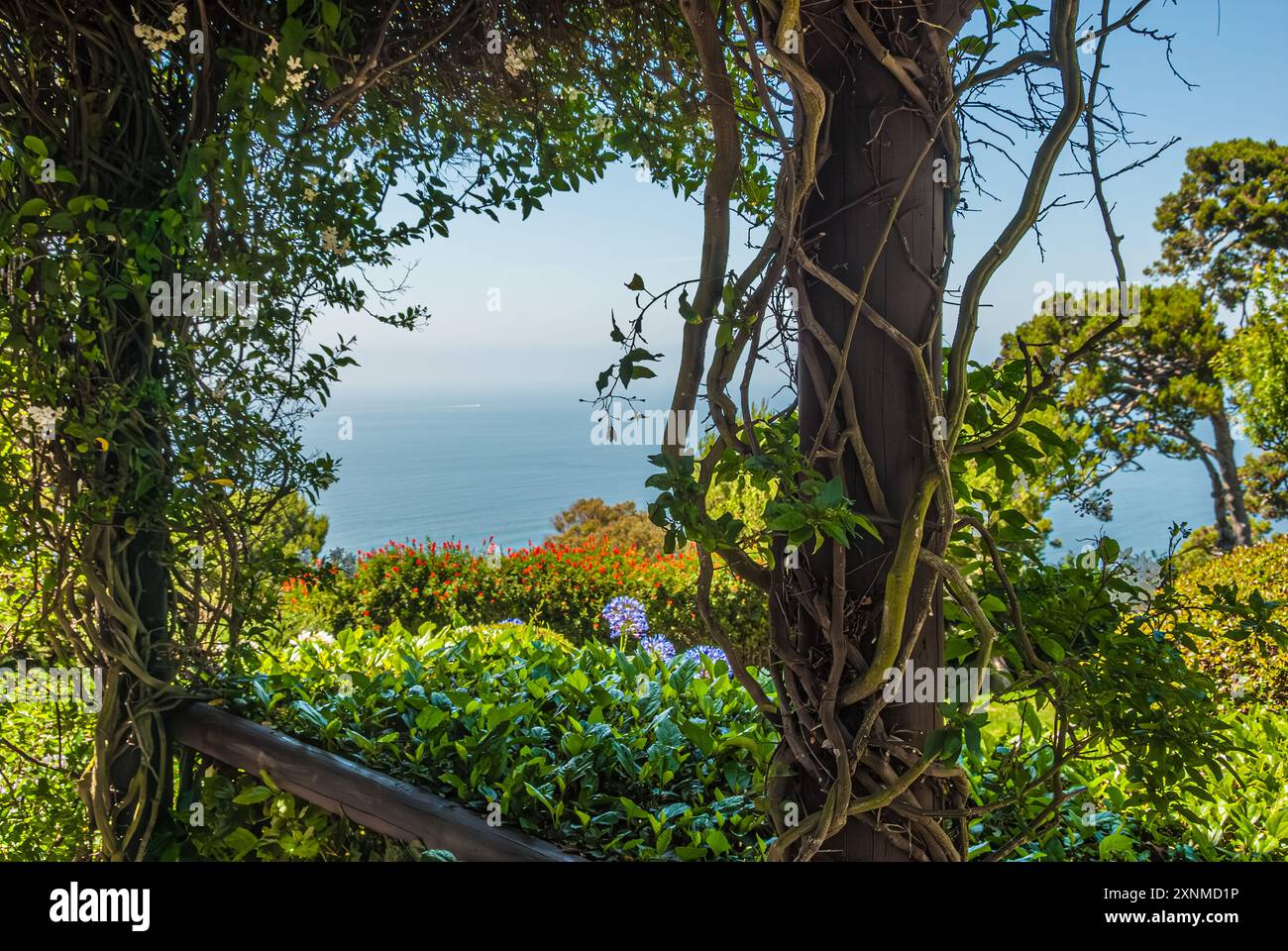 Vue panoramique sur l'océan depuis une tonnelle de jardin à l'historique la Venta Inn à Palos Verdes Estates surplombant Los Angeles et l'océan Pacifique. (ÉTATS-UNIS) Banque D'Images