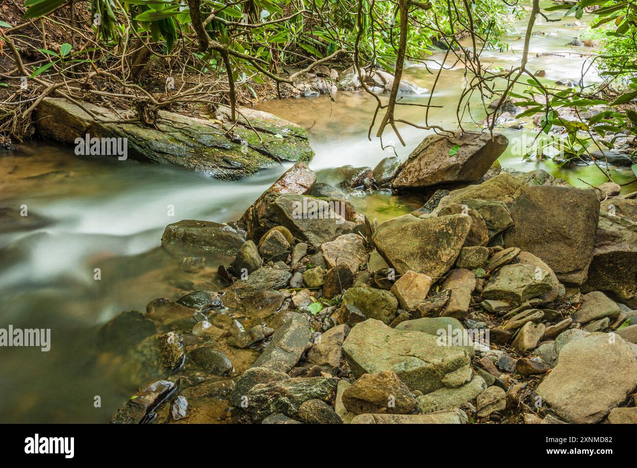 Ruisseau de montagne coulant à Fairview, Caroline du Nord, près d'Asheville. (ÉTATS-UNIS) Banque D'Images