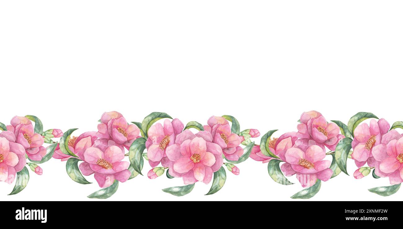 Fleurs de camélia roses avec des feuilles vertes dans une bordure sans couture. Clipart aquarelle Camellia japonica. Ce motif floral délicat est idéal pour les invitations, les cartes de vœux ou les bordures de papeterie. Banque D'Images
