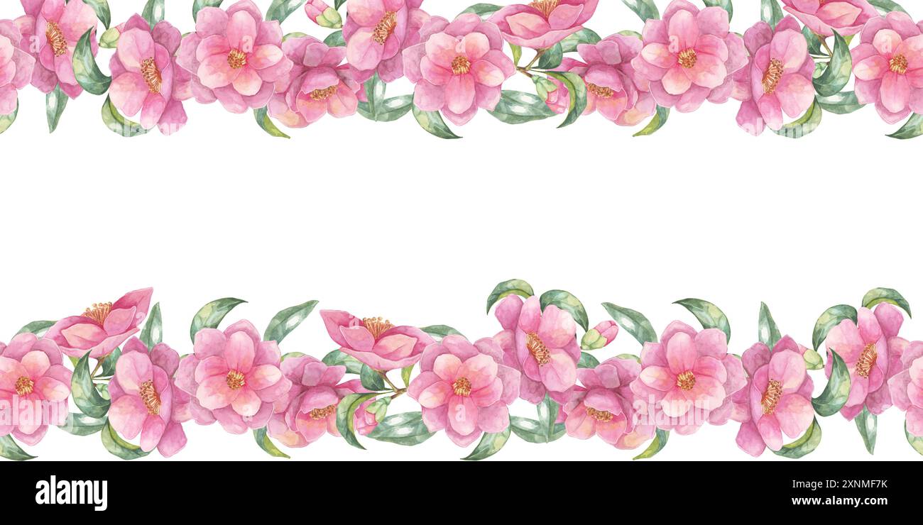 Camellia japonica fleurit avec des feuilles vertes dans une bordure sans couture le long des bords supérieur et inférieur de ce clipart aquarelle. Convient pour les conceptions numériques, les graphiques de médias sociaux et la papeterie imprimée Banque D'Images