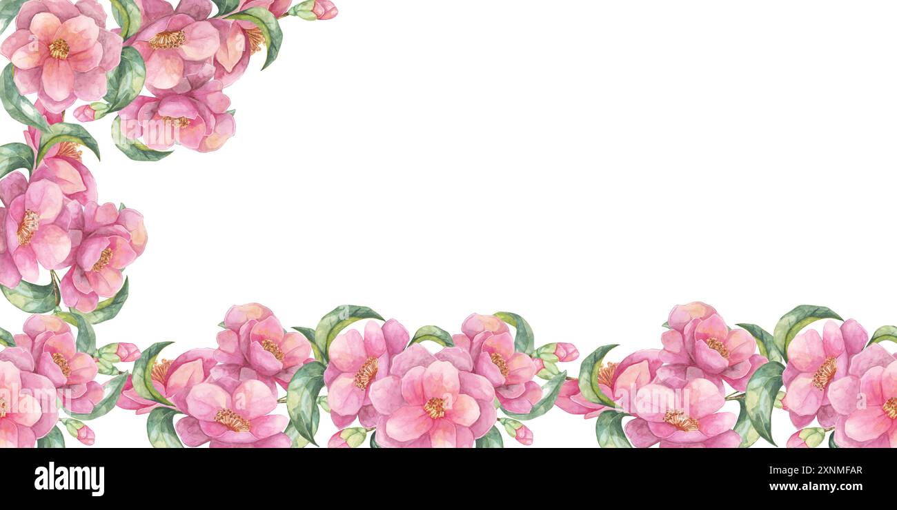 Fleurs de camélia rose le long du fond et partiellement sur les côtés dans cette bannière aquarelle. Clipart décoratif floral parfait pour l'artisanat, le scrapbooking numérique ou les invitations personnalisées Banque D'Images