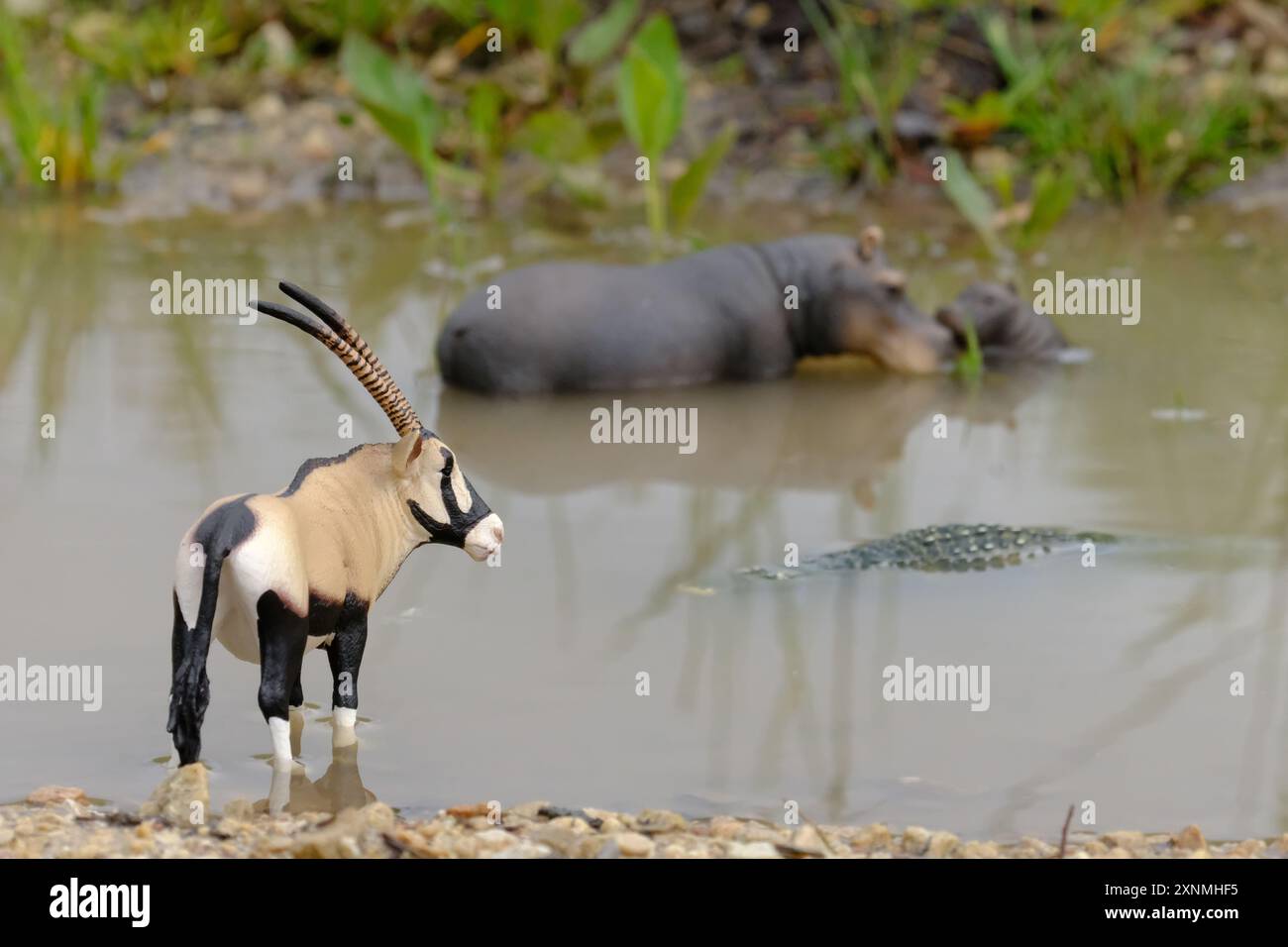 Une scène dans la savane africaine avec des hippopotames, des oryx et un crocodile avec des figurines d'animaux Schleich Banque D'Images
