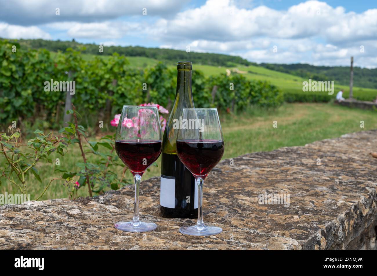 Dégustation de vin rouge pinot noir sur des vignobles grand cru avec croix et murs de pierre en Côte de nuits, élaboration de vin rouge et blanc de Bourgogne célèbre à Bur Banque D'Images