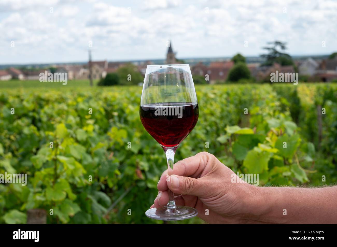 Boire du vin rouge pinot noir sur les vignobles grand cru avec croix et murs de pierre en Côte de nuits, faire du célèbre vin rouge et blanc de Bourgogne en Bu Banque D'Images