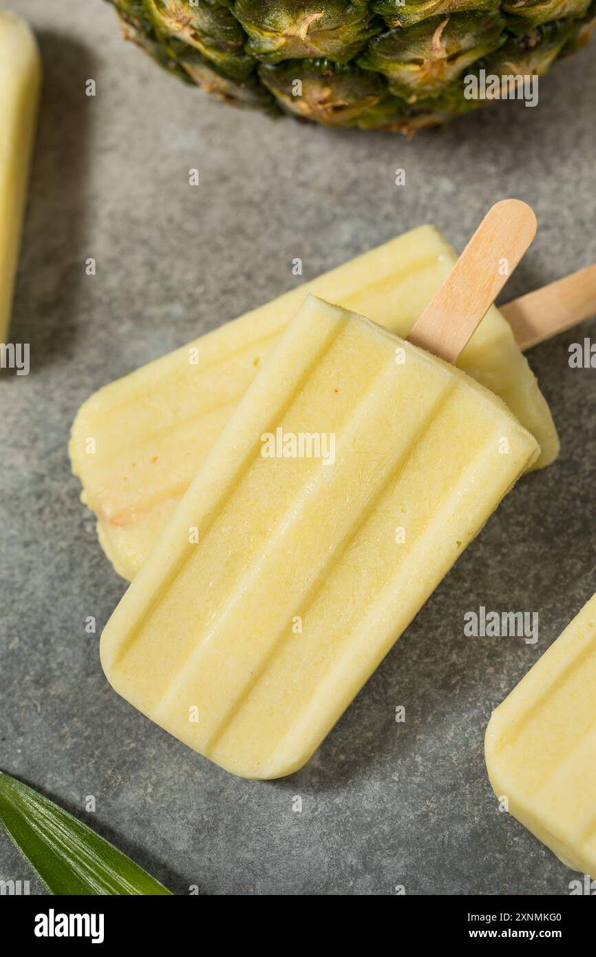 Ananas sain Pina Colada Popsicles avec noix de coco Banque D'Images