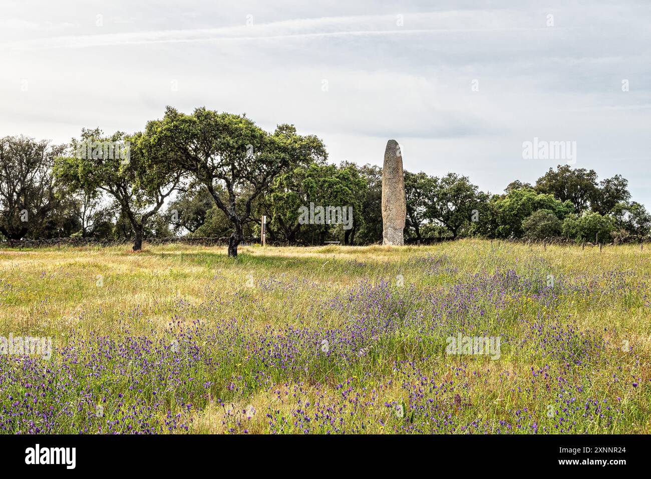 La pierre debout, Menhir de Meada à Castelo de vide, Portugal. Le plus grand de la péninsule ibérique. Un monument mystérieux de la préhistoire, avec un Banque D'Images