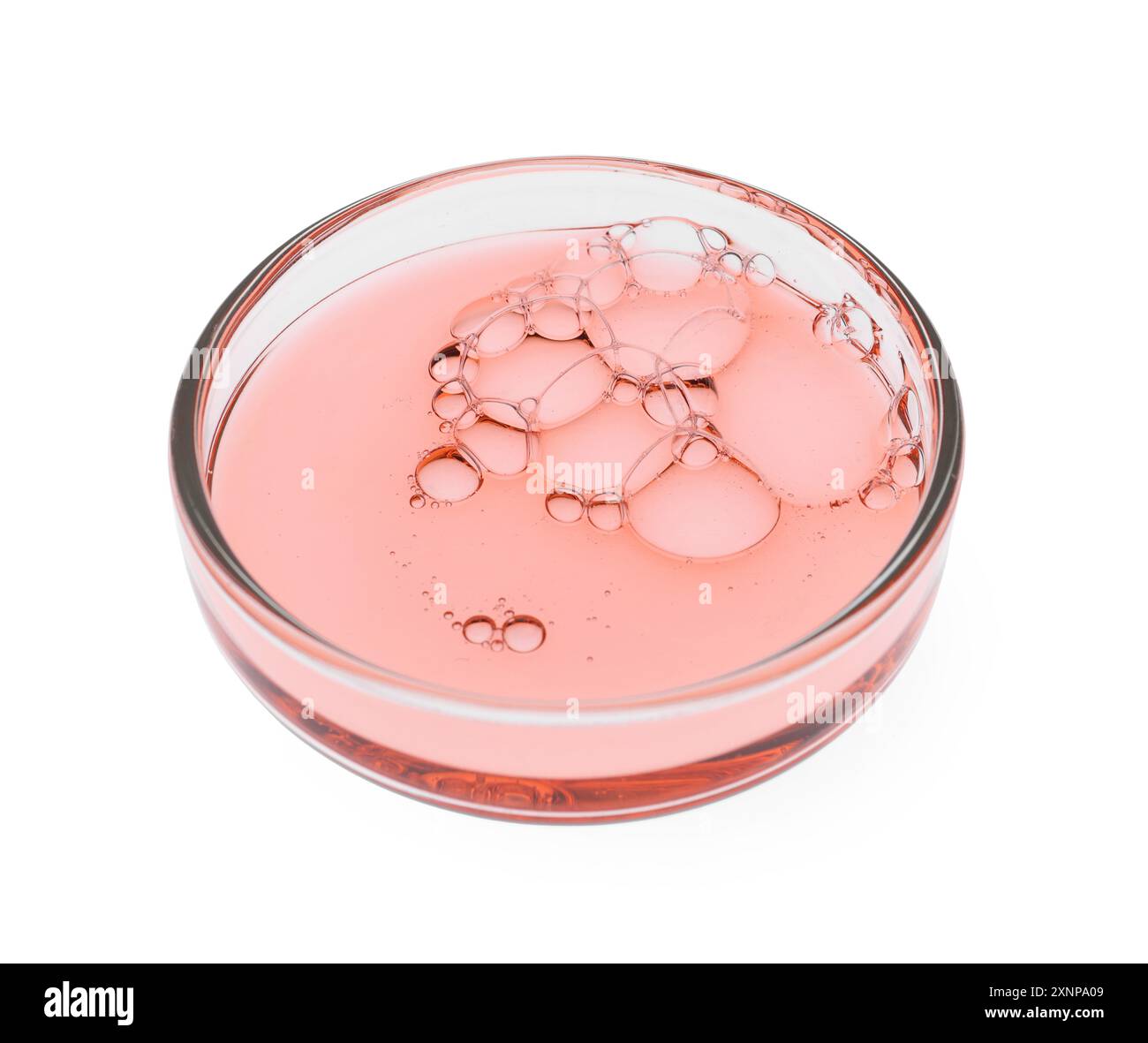 Boîte de Pétri avec échantillon isolé sur blanc Banque D'Images
