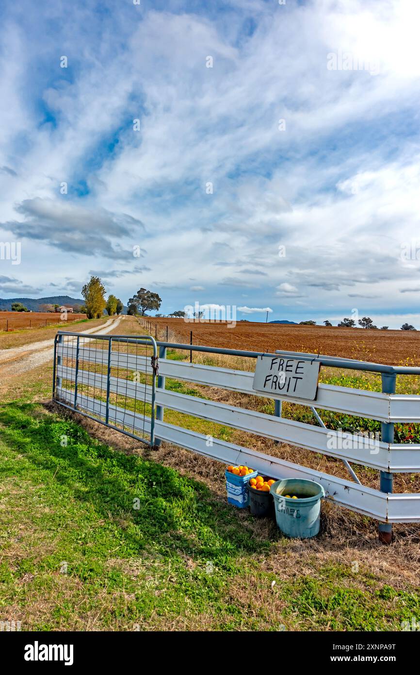 Signe de fruits et agrumes gratuits à un Farm Gate Tamworth, Nouvelle-Galles du Sud, Australie. Banque D'Images