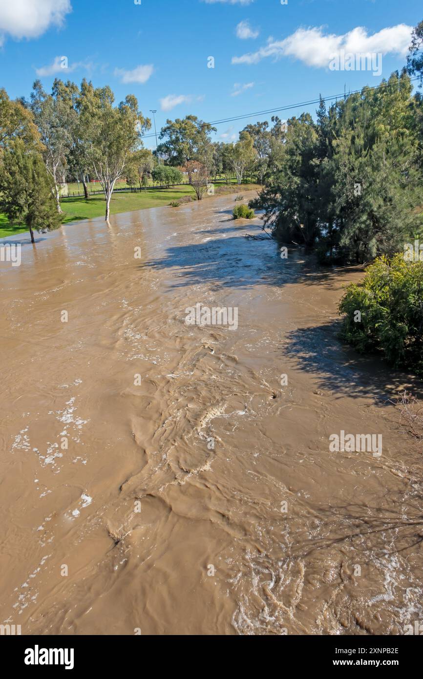 Peel River Tamworth Australie en crue boueuse le 28 juillet 2024 Banque D'Images