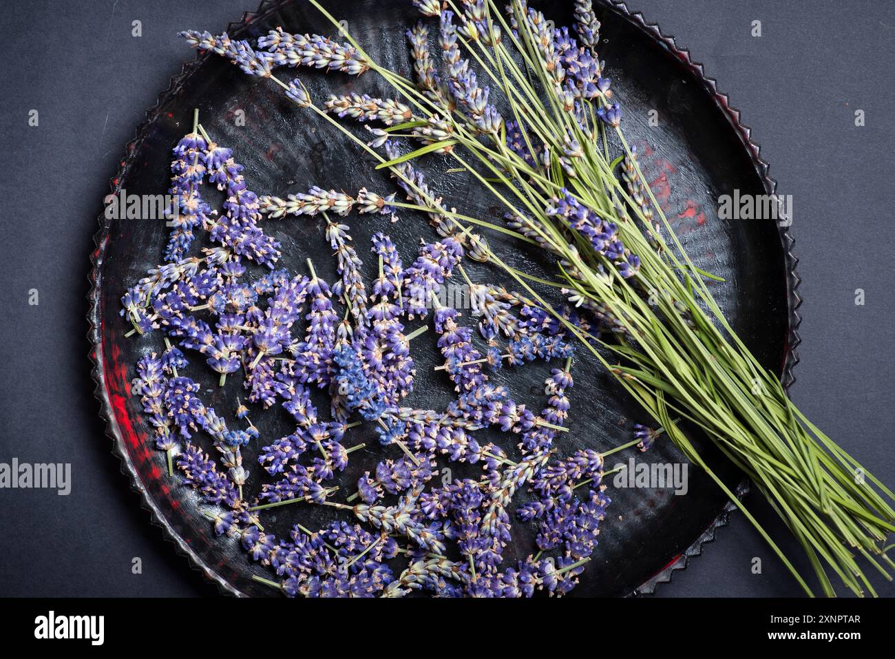 Une récolte fraîche de fleurs de lavande éclatantes est affichée de manière créative sur une assiette sombre et ornée, accentuant leurs violets et verts naturels. Contre Banque D'Images