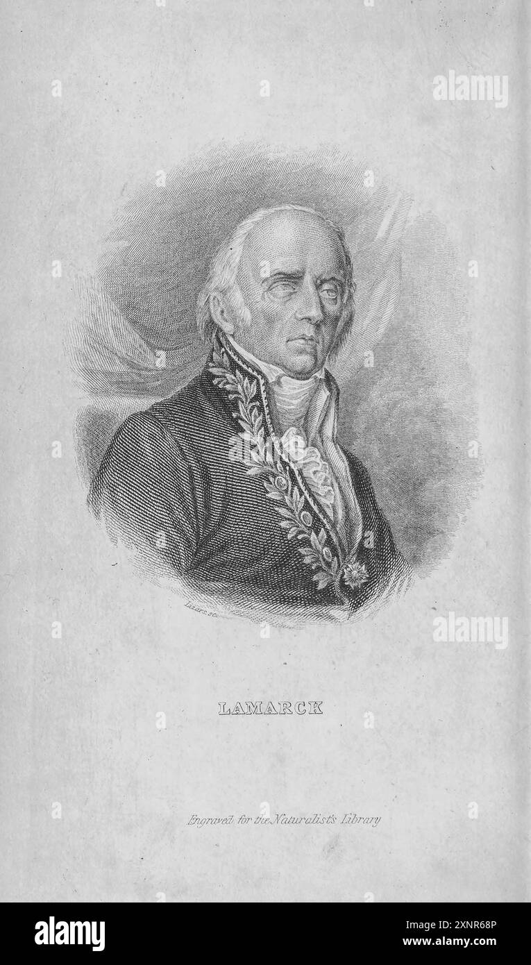 Jean-Baptiste Pierre Antoine de Monet, chevalier de Lamarck (1er août 1744 – 18 décembre 1829), souvent connu simplement sous le nom de Lamarck (/ l ə ˈ m ɑːr k / ; français : [ʒɑ̃batist lamaʁk]), est un naturaliste, biologiste, universitaire et soldat français. Du livre ENTOMOLOGIE. PAPILLONS ÉTRANGERS. Par Duncan, James, 1804-1861 volume XXXI de la BIBLIOTHÈQUE NATURALISTE. publié en 1852 Banque D'Images