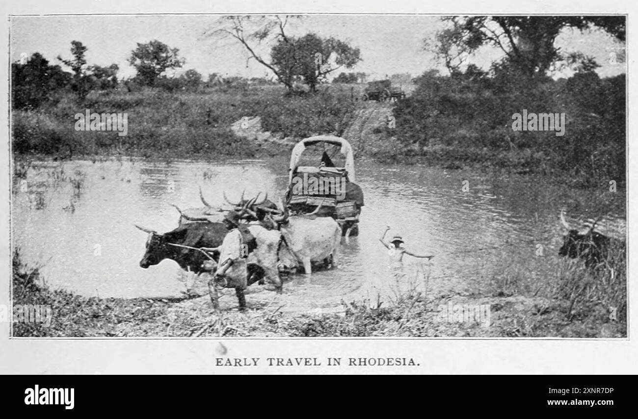 Voyage anticipé en Rhodésie par chariot à bœufs de l'article PERSPECTIVES D'EXPLOITATION DE L'OR EN RHODÉSIE. Par R. R. Mabson de The Engineering Magazine consacré au progrès industriel volume XVIII 1899-1900 The Engineering Magazine Co Banque D'Images