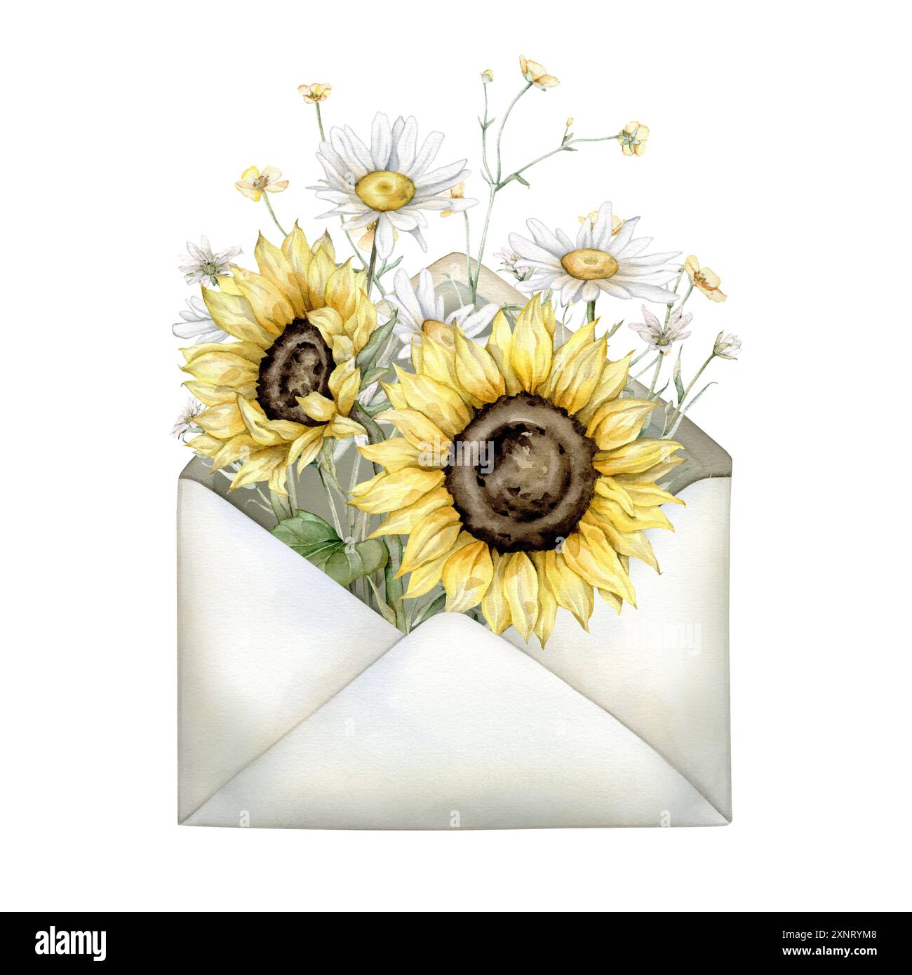 Enveloppe vintage beige ouverte avec bouquet de fleurs de Marguerite et de tournesol. Illustrations d'aquarelle dessinées à la main isolées sur un fond blanc. Blanc et Banque D'Images