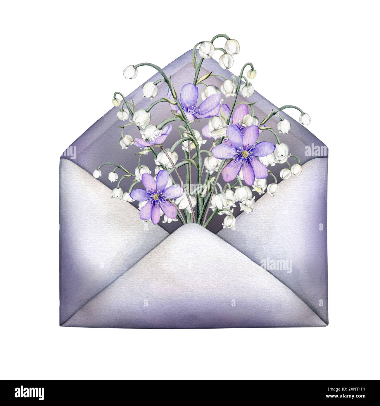 Enveloppe violette ouverte avec les premières fleurs de printemps. Taillis aquarelle et llys de la vallée lilas et fleurs blanches. Illustration dessinée à la main isolée Banque D'Images