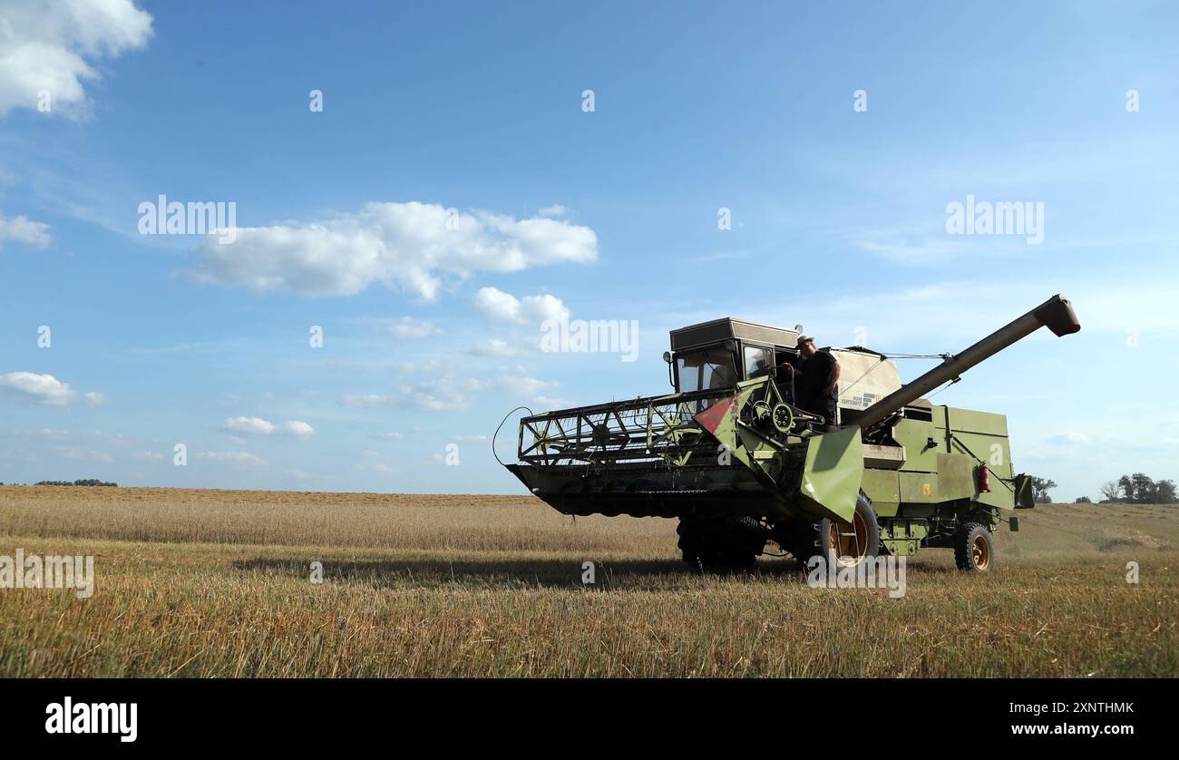 Getreideernte Mähdrescher Modell Fortschritt E 514, DDR von 1982 bis 1990 gebaut auf einem Feld BEI der Gretreideernte Weizenernte / Landwirtschaft in Brandenburg, Agrarwirtschaft Nahrungsmittel Getreide Weizen Ernte Ertrag / 02.08.2024 / copyright : Contrast / O. Behrendt / Contrast photoagentur / 10439 Berlin Meyerheimstr.8 / tel : 49 172 3152300 / contrastcontrastphoto.de / MWST-7 Prozent / FA-Prenzlauer Berg préparéesNr. 31/222/60192 Bank IBAN : DE371009005881632006 / BIC : BEVODEBB *** moissonneuse-batteuse modèle Fortschritt E 514, GDR de 1982 à 1990 construit sur un champ pendant le grai Banque D'Images