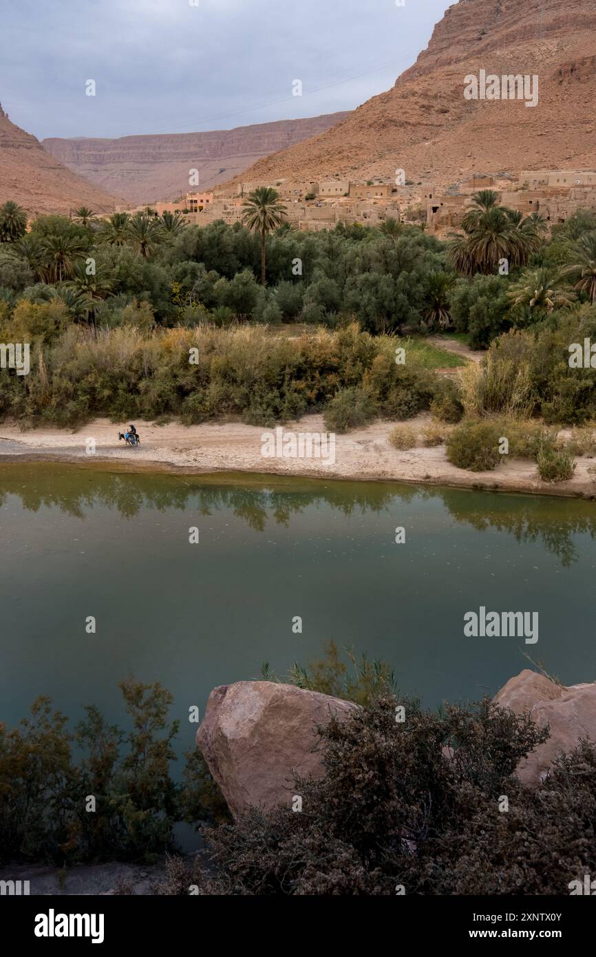 Une personne méconnaissable et anonyme traverse la plage de l’impressionnante oasis avec son âne dans la vallée du Ziz, située dans le moyen Atlas Banque D'Images