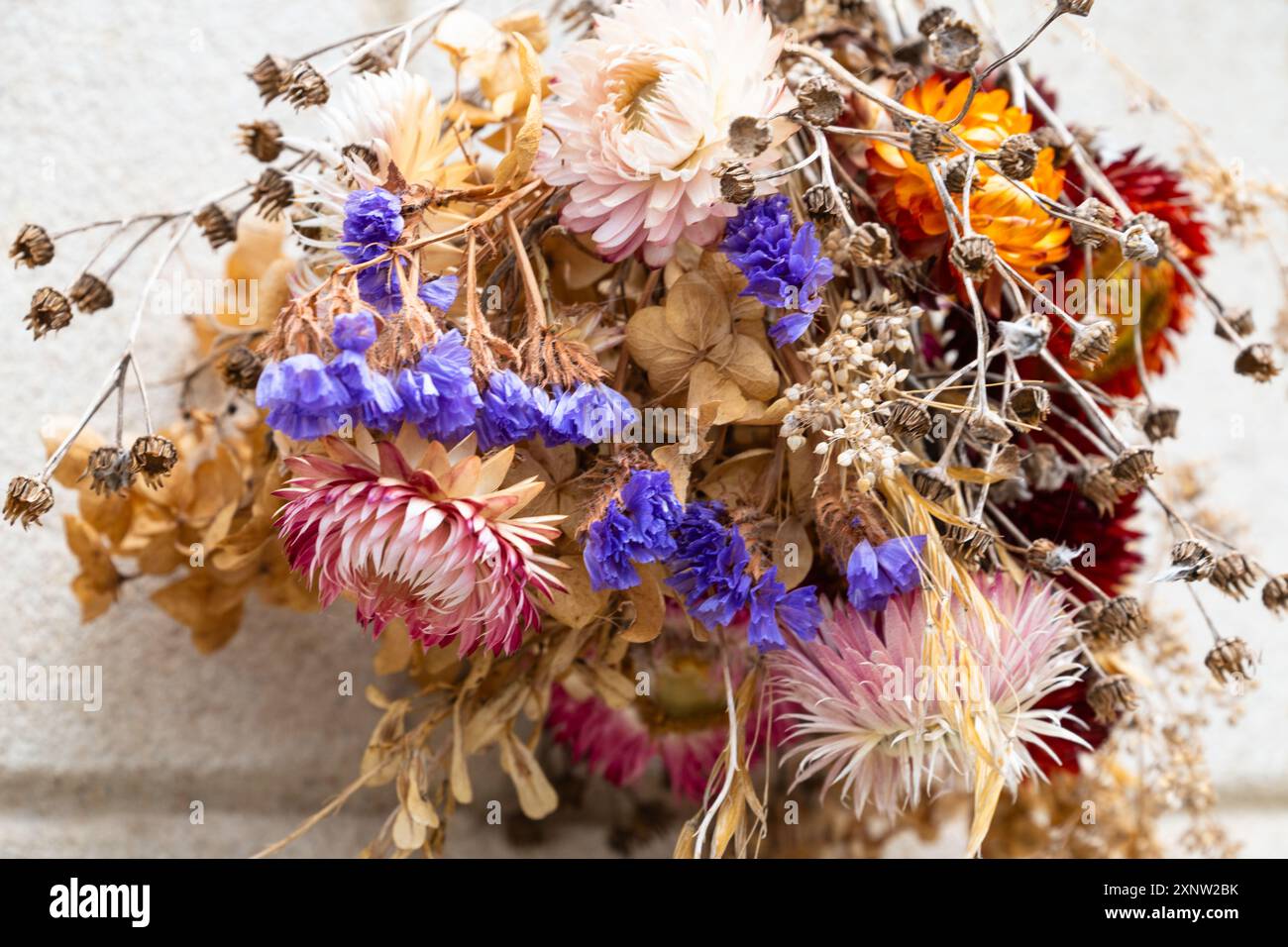 Fleurs séchées, Londres, Angleterre Banque D'Images