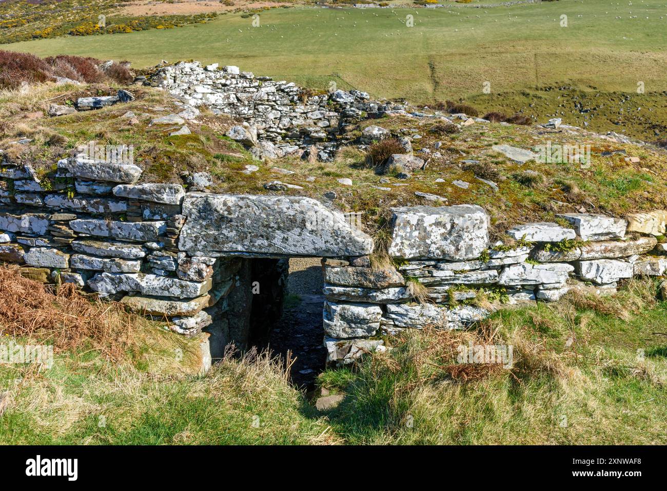 Ousdale Broch, un Broch de l’âge du fer près du village d’Ousdale, Caithness, Écosse, Royaume-Uni, Un Broch de «deuxième phase», datant du IIIe au IIe siècle av. J.-C.. Banque D'Images