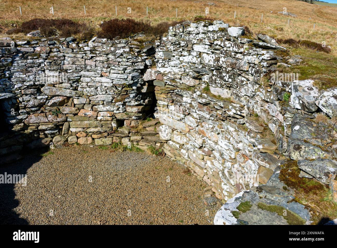 Ousdale Broch, un Broch de l’âge du fer près du village d’Ousdale, Caithness, Écosse, Royaume-Uni, Un Broch de «deuxième phase», datant du IIIe au IIe siècle av. J.-C.. Banque D'Images