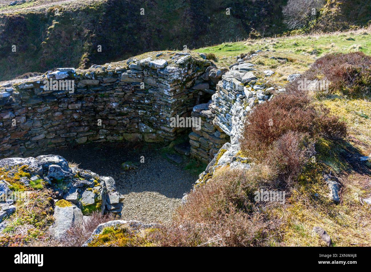 Ousdale Broch, un Broch de l’âge du fer près du village d’Ousdale, Caithness, Écosse, Royaume-Uni, Un Broch de «deuxième phase», datant du IIIe au IIe siècle av. J.-C.. Banque D'Images