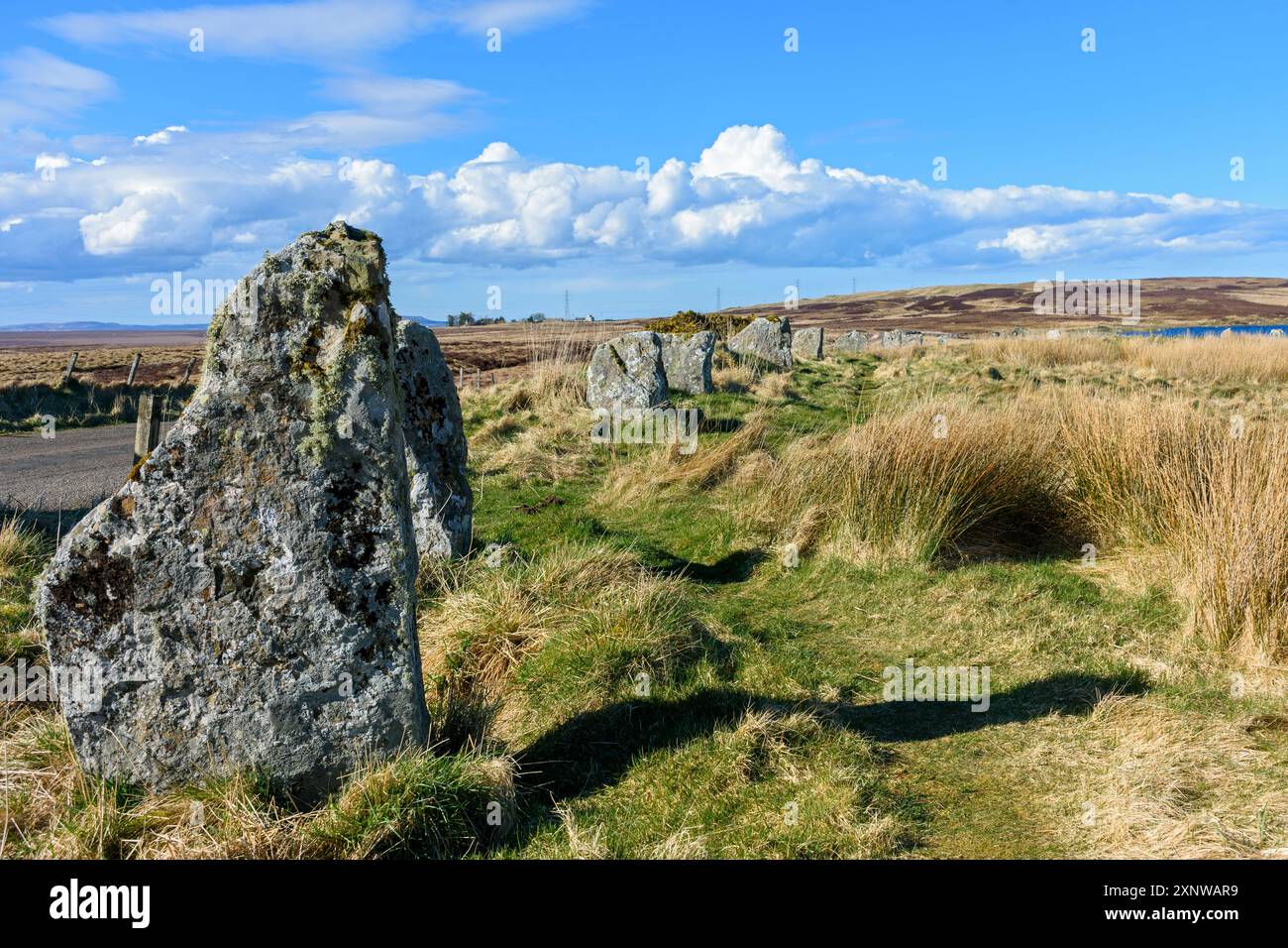 Le Achavanich Mégalithes, près de Cuba, Caithness, Ecosse, Royaume-Uni Banque D'Images