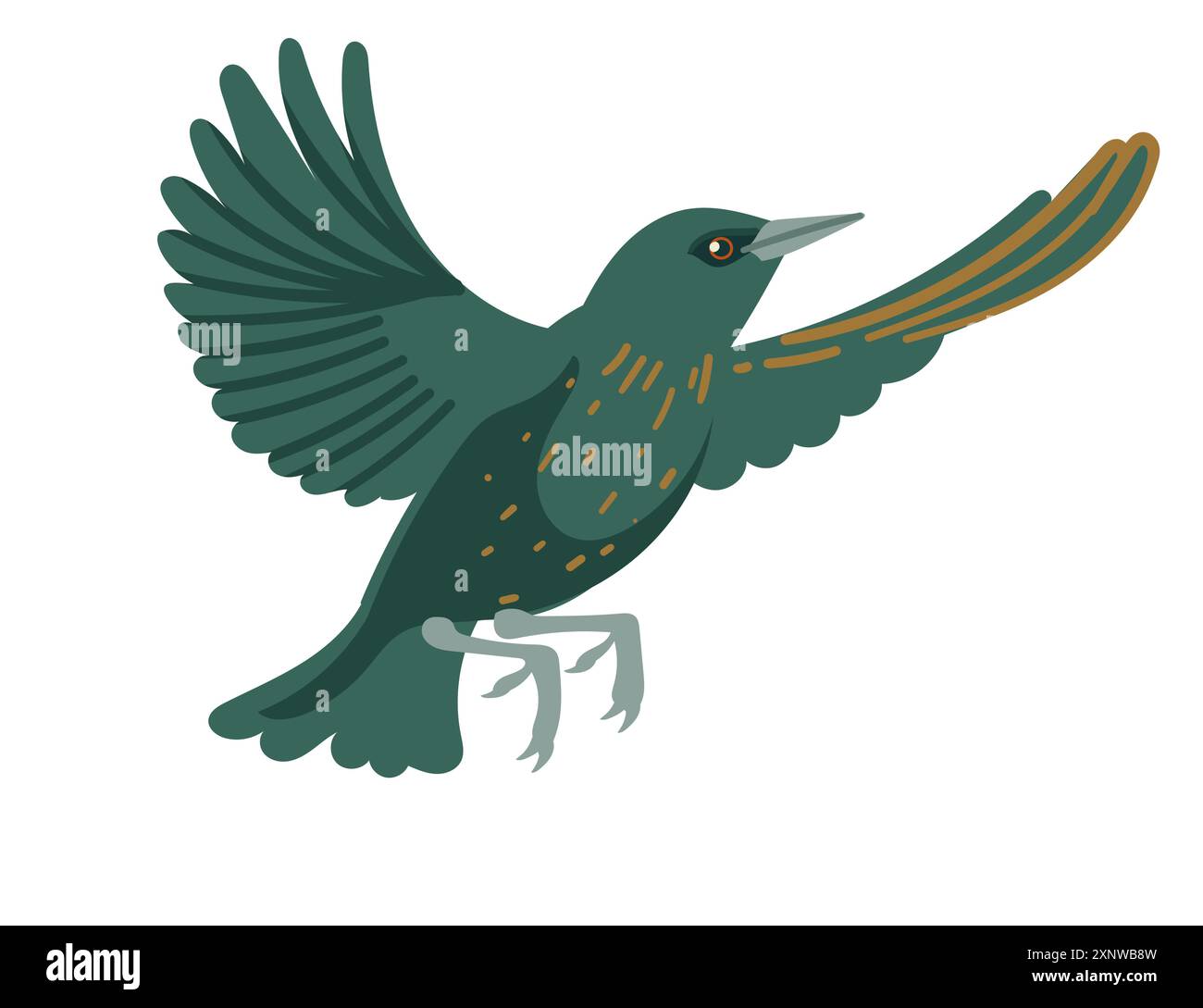 Oiseau étourdissant mignon décollant et volant. Dessin animé animal, oiseau stylisé avec des plumes vert foncé et des taches lumineuses. Illustration vectorielle isolée Illustration de Vecteur