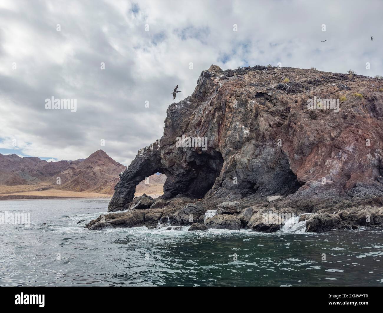 Arc naturel à Puerto Refugio à l'extrémité nord de l'île Angel de la Guarda, basse Californie, mer de Cortez, Mexique, Amérique du Nord Banque D'Images