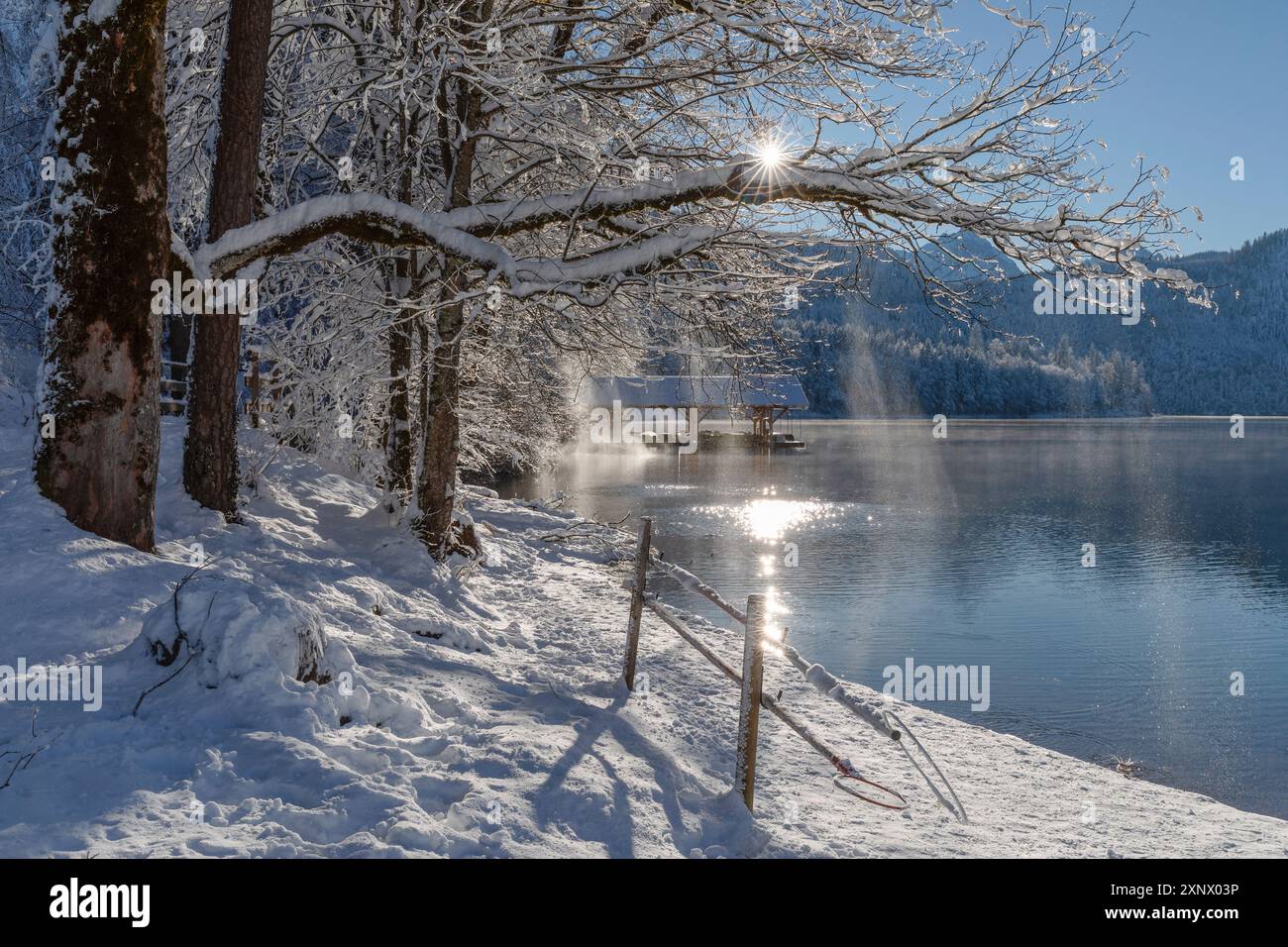 Lac Alpsee, Schwangau, Fussen, Souabe, Alpes bavaroises, Bavière, Allemagne, Europe Banque D'Images