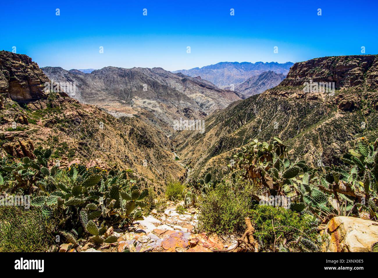 Énorme canyon dans la colonie pré-aksumite de Qohaito (Koloe), Erythrée, Afrique Banque D'Images