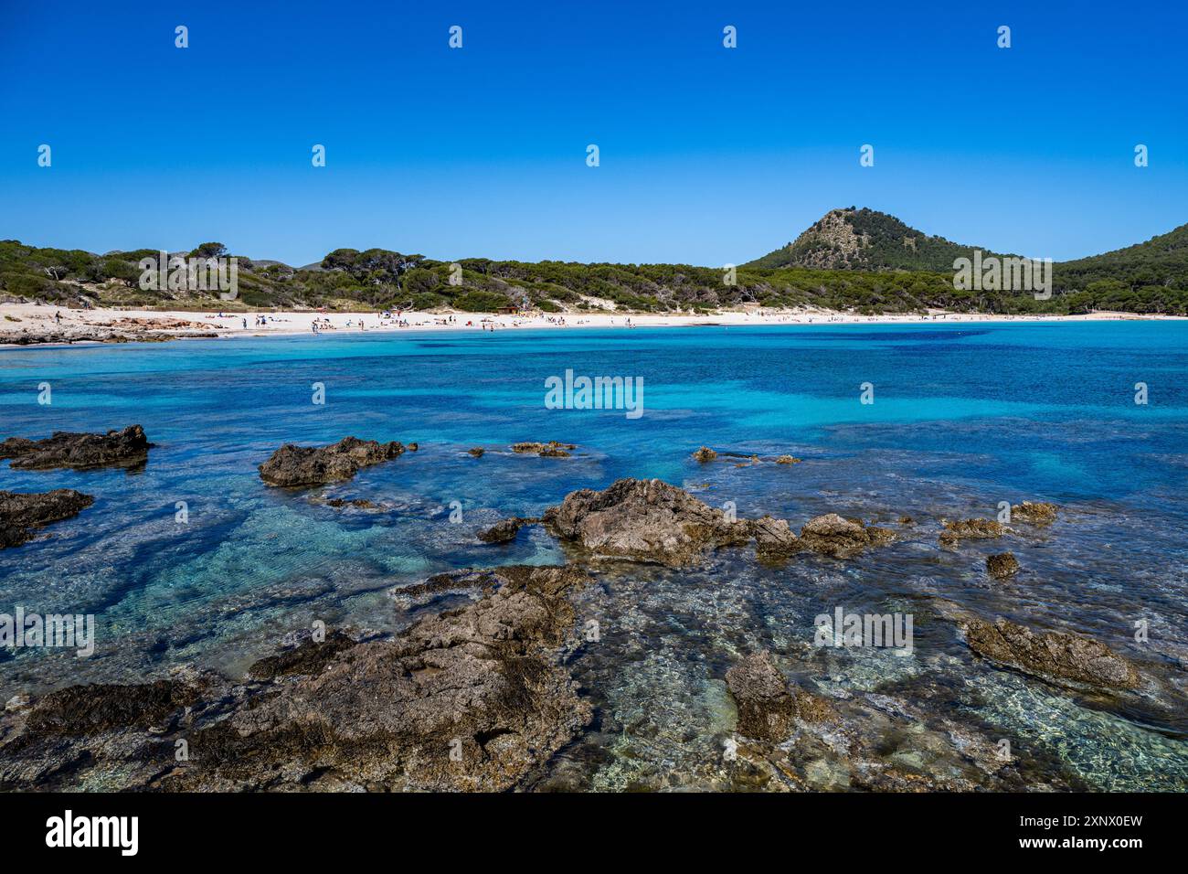 Agulla plage, Majorque, Baléares, Espagne, Méditerranée, Europe Banque D'Images