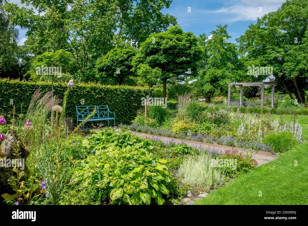 Lits vivaces, jardin éducatif de district, Burgsteinfurt, Steinfurt, Muensterland, Rhénanie du Nord-Westphalie, Allemagne Banque D'Images