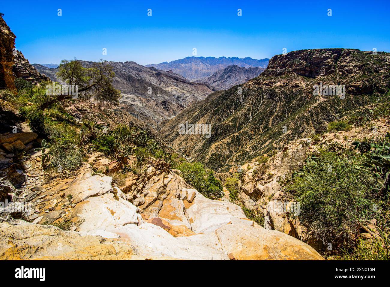 Immense canyon dans la colonie pré-Aksumite de Qohaito Koloe, Erythrée, Afrique Copyright : MichaelxRunkel 1184-12075 Banque D'Images