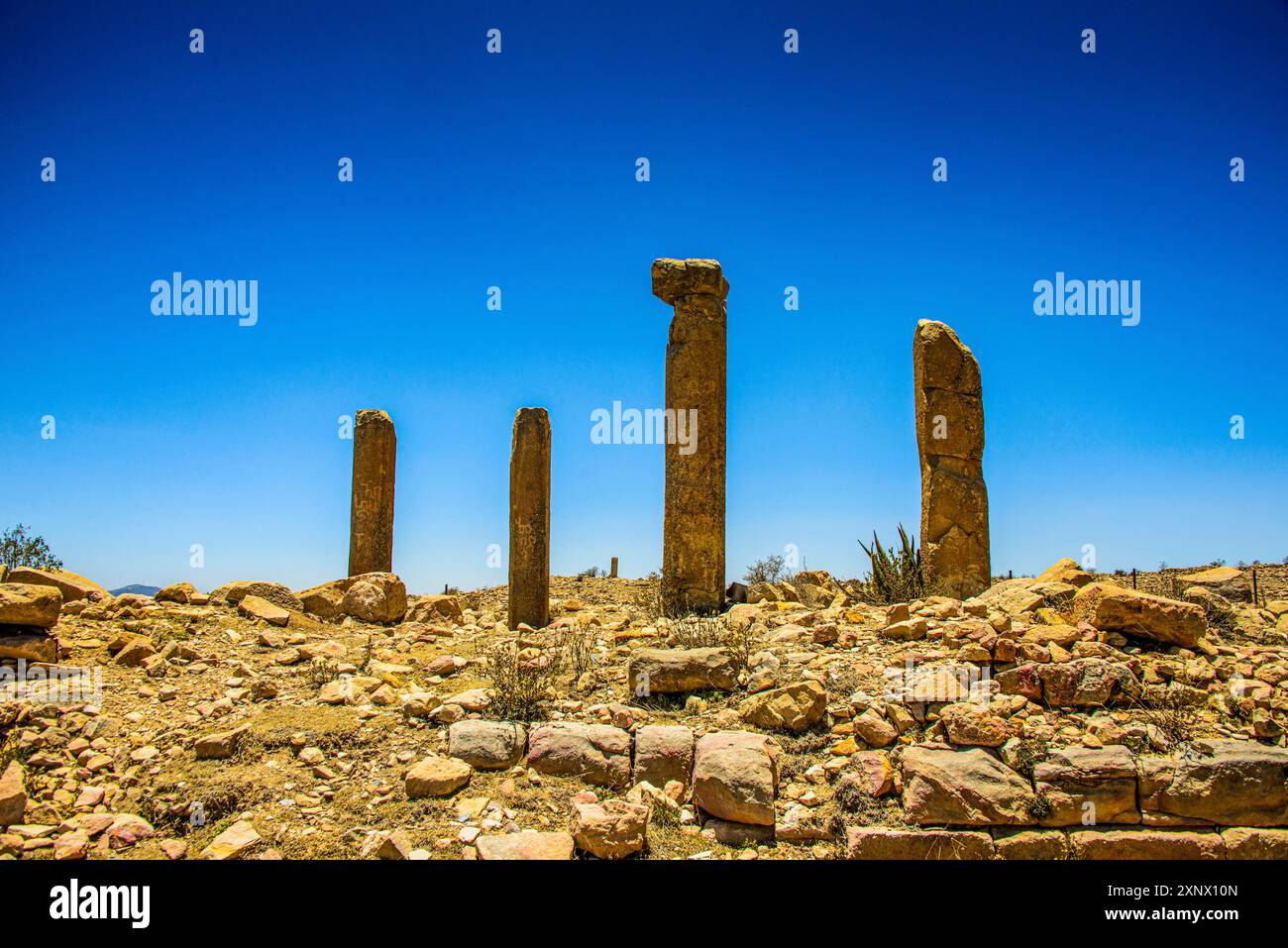 Les colonnes d'une structure en ruine dans la colonie pré-aksumite de Qohaito Koloe, Erythrée, Afrique Copyright : MichaelxRunkel 1184-12076 Banque D'Images