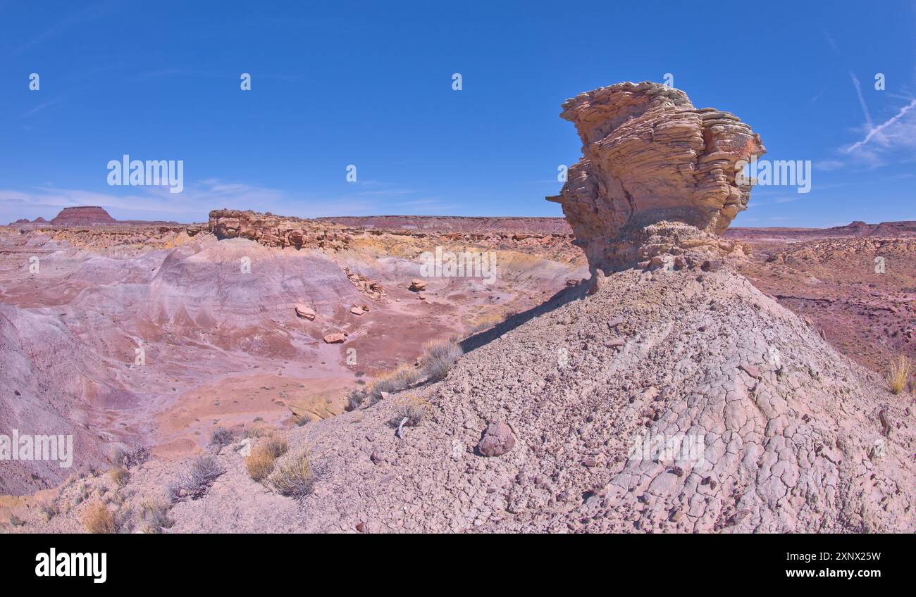 Un rocher hoodoo solitaire sur le bord d'une crête surplombant le Jim Camp Wash à l'extrémité sud du parc national Petrified Forest, Arizona Banque D'Images